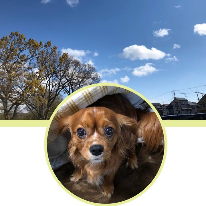 76331b86 c228 4ab7 bae5 ec60a938a653 1554985274212