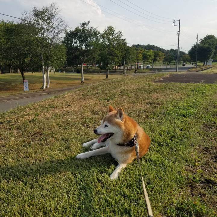 76332e97 86e6 40da 8f6e dc90e9069863 1694588009129