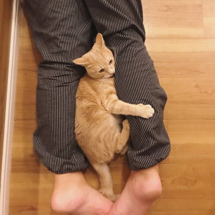 76332f1d 959f 484d bb50 f0eb50795cd0 1605530066547