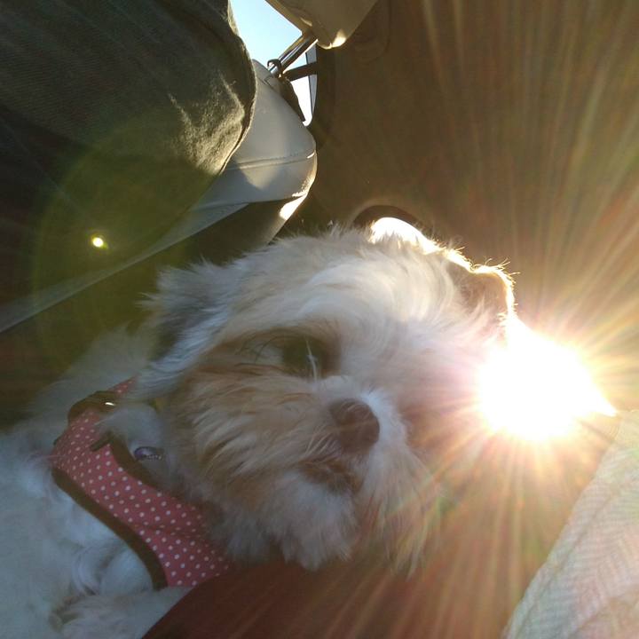 763361f1 861c 4e8a bd30 4835cc2c29f9 1603576358226