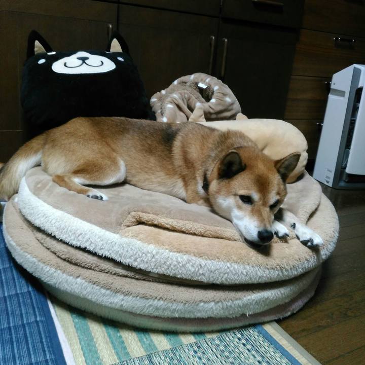 7633740d d267 49f9 962b 81f863ae0f31 1566470724849