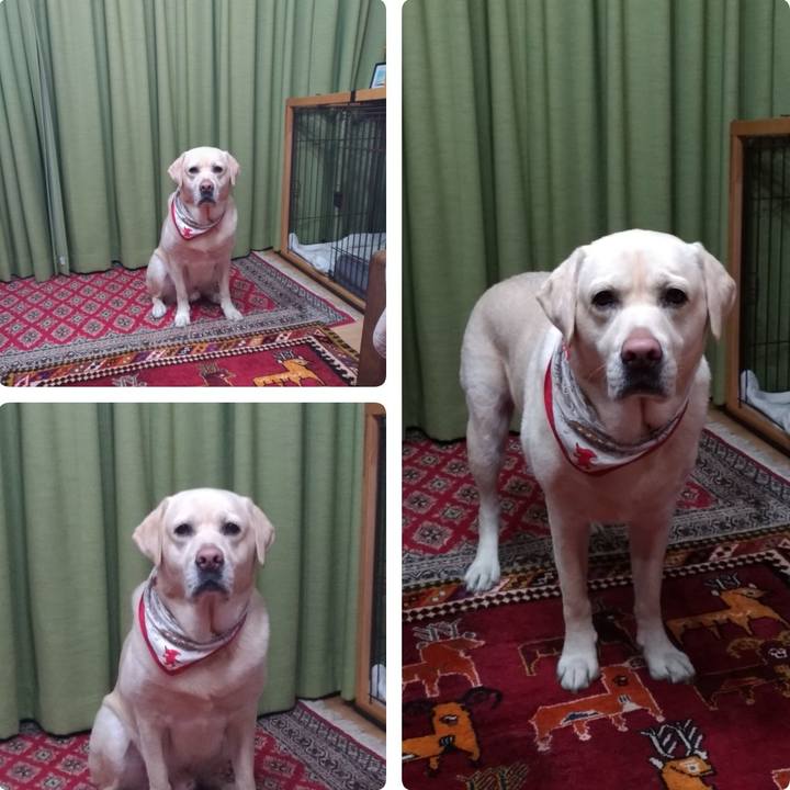 76337787 933a 4176 85c0 89af9404a61d 1613585574534