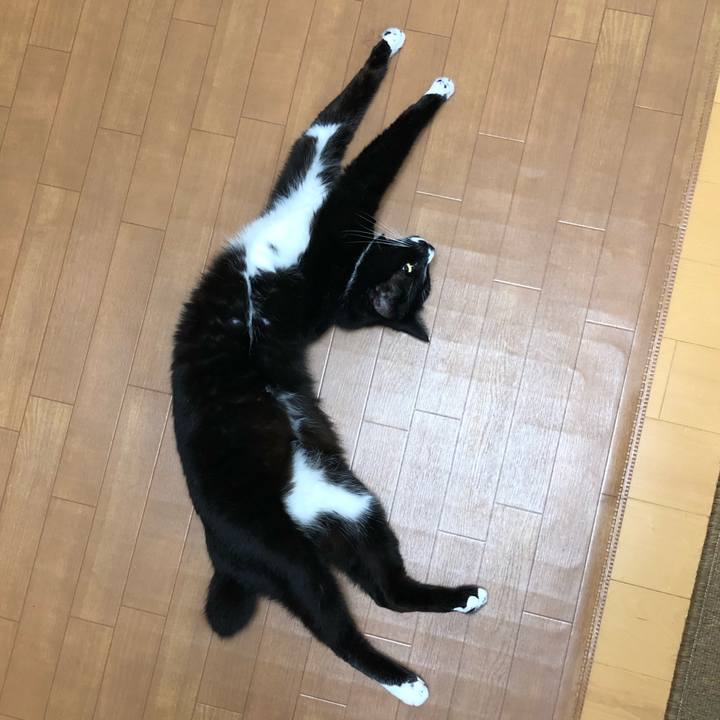 76340bc7 affc 4444 a69b a11c7b2a426c 1590464602377