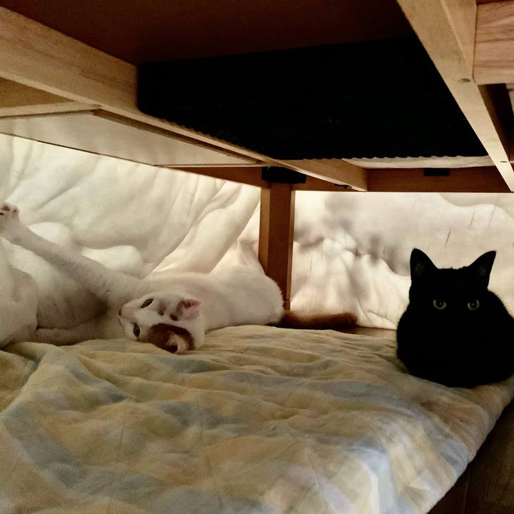 76341635 978b 40f3 8e82 2d4b293f3757 1607818455436