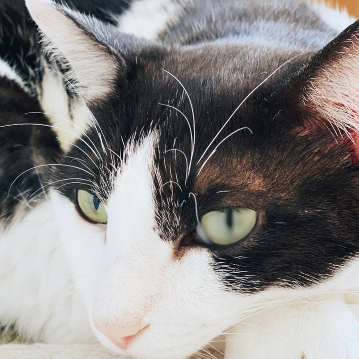 76343962 01a7 4751 9888 aef42c5203c1 1556330088688