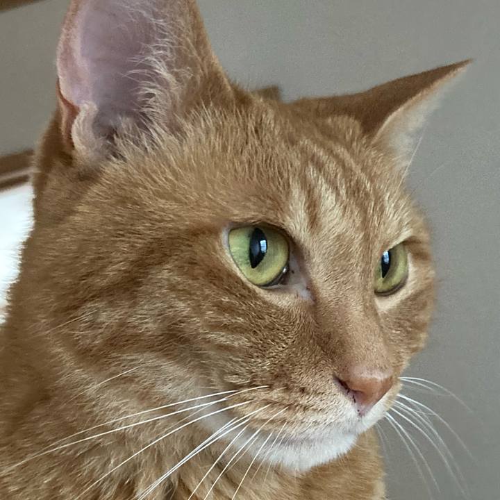 76345912 134e 4de1 8517 463bbe731980 1757116062162