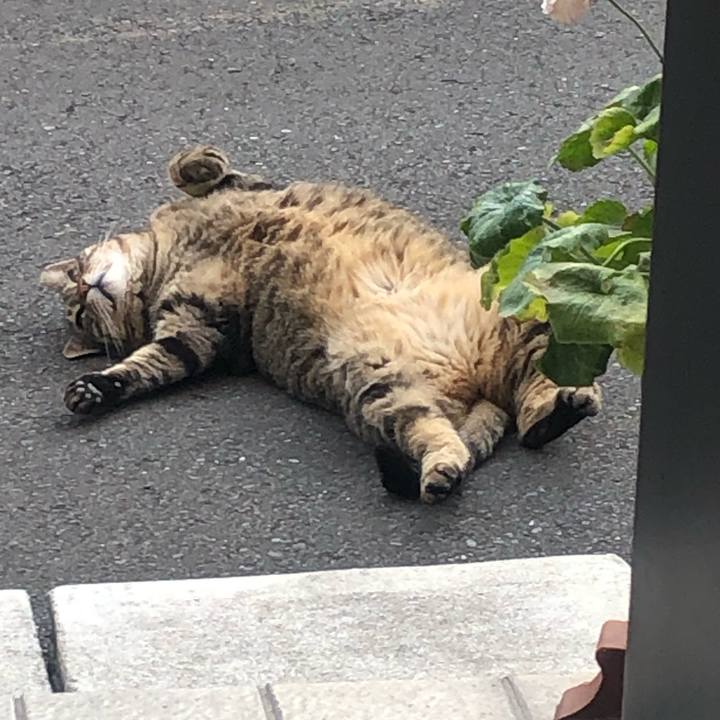 76345aa0 3c3e 42d7 9dad 95d4b8966b2e 1555760899622