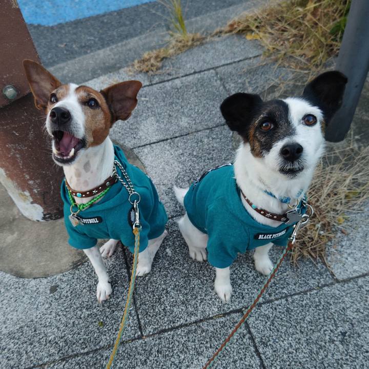 76346686 0759 4ad6 b9f2 30b5450c77de 1734300655533