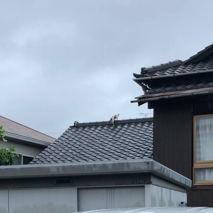 7634913f 5084 4afc bdd5 eefacc2d0dec 1628462469134