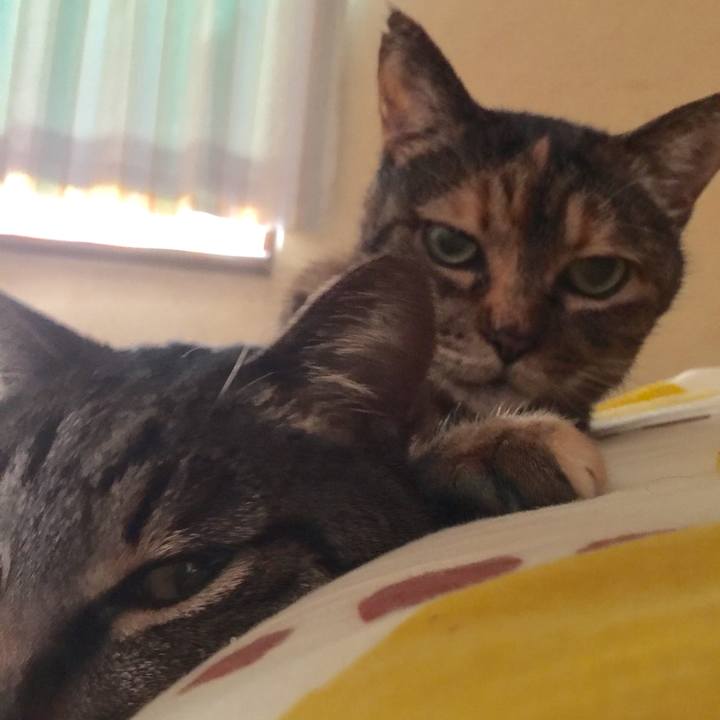 7634f6a8 d853 4be9 a2ab a166964ca94a 1525220557762