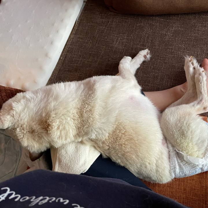 763518d8 d1f8 419a afed c1648c5b24a9 1669101945818