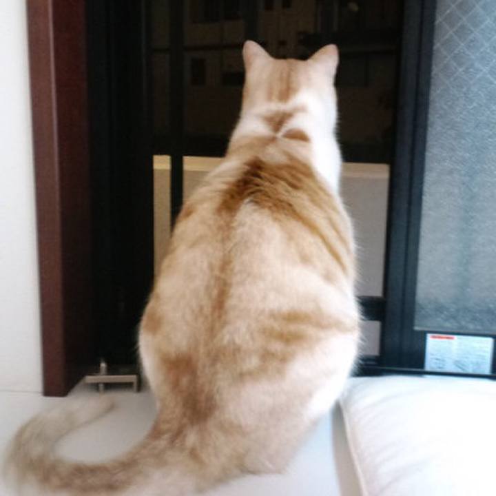 763579cb 0737 4697 8f19 c6be0d29984f 1561662304860