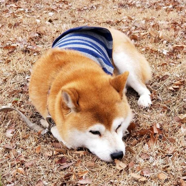 76357b35 e3e7 4528 b52b 88af096cda56 1577332877587