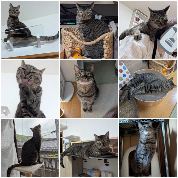 76366758 ae05 4981 881c 885a14ca2e32 1748585653113