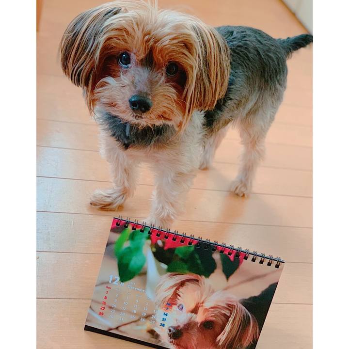 76368cca 38a2 403e 8099 07240f08cf7f 1575155326605