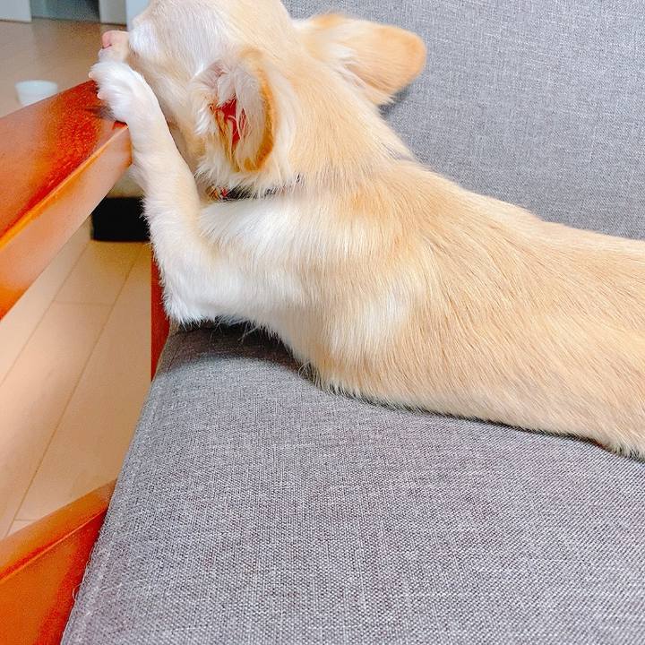 76369de1 3752 4157 b3d1 54c3c0f41e44 1630403868241