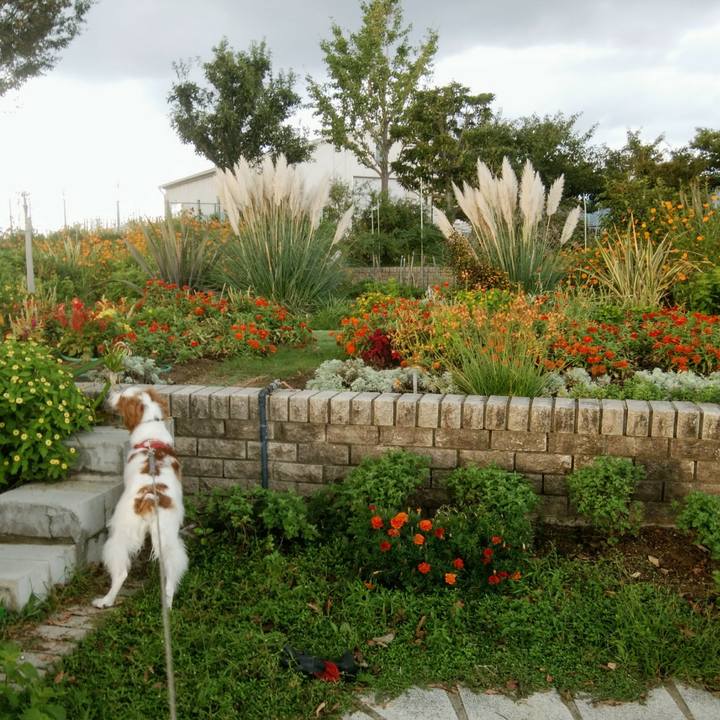 7636ad76 c955 450e b162 a206c8fbc9f9 1537865321208