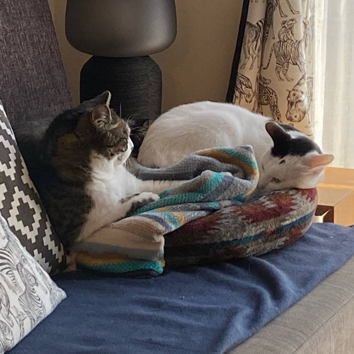 7636b21f 4508 4d67 89de f96cff91635d 1710986626971