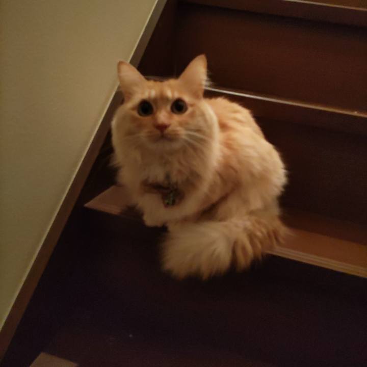 7636dba0 ad21 4446 8c30 6362061e27c1 1703511285425