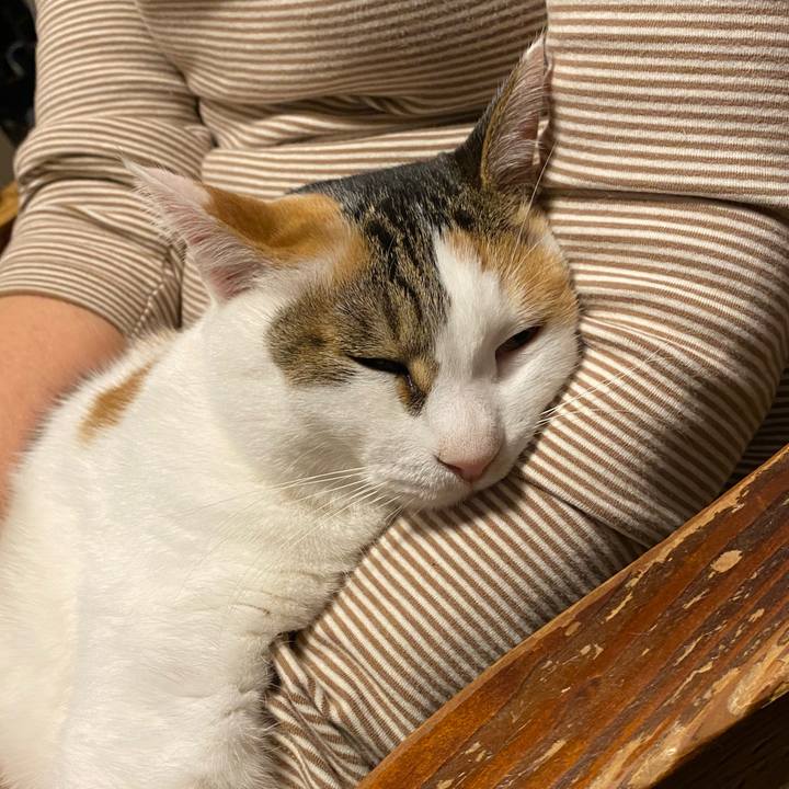 7636ed0f 1859 4bbb 8ee1 993c6d363fe9 1772182178413