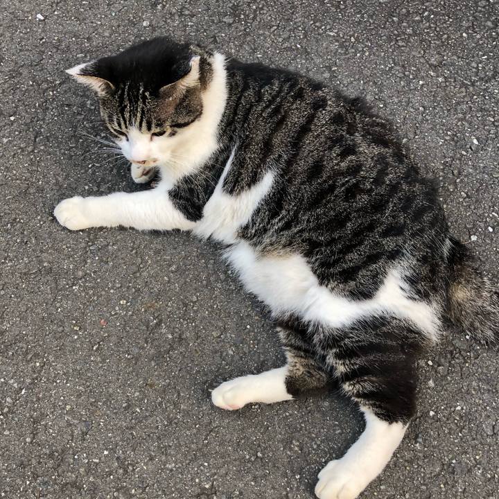 7637119d 0ca7 4204 9550 d685fd7f1e70 1532650129612