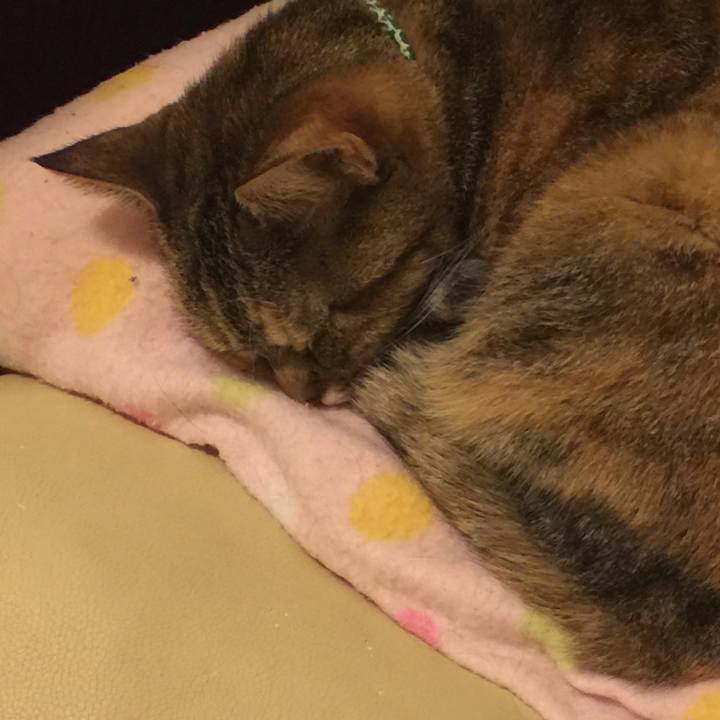 76372070 fff4 4cc0 b462 faa474c8e78b 1548534359602