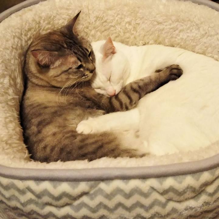 76372e01 3518 49ad 8c78 2f48d6021da8 1614601421123