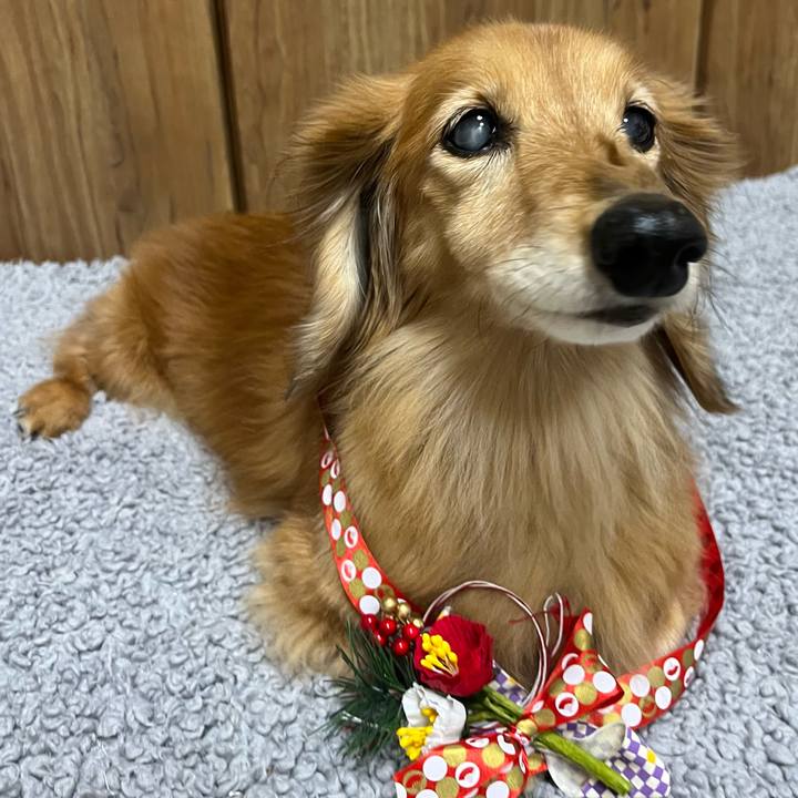 76373f65 545f 42df 919f a8db83676915 1672663056919