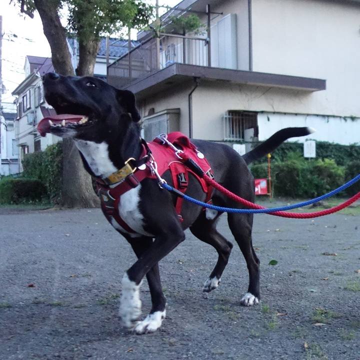 763786b6 a154 4cd2 83fc 1b3e20343e92 1592218943880