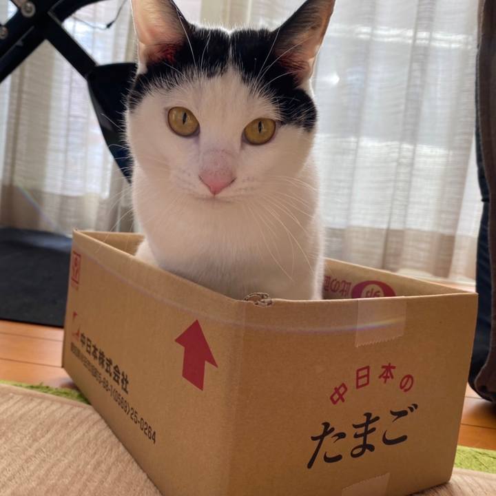 7637be71 c967 49db a2d1 35fca68e490f 1644590726392