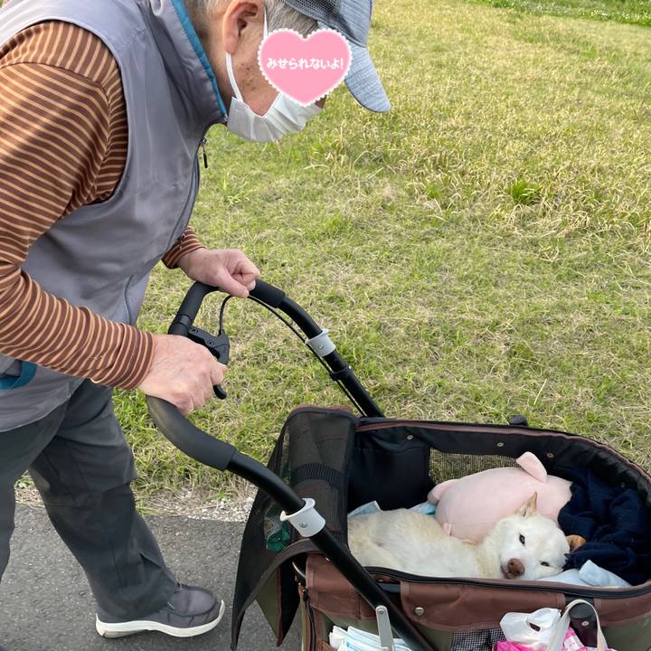 7637c588 60e3 4ea5 b211 401eb385f72f 1680605426043