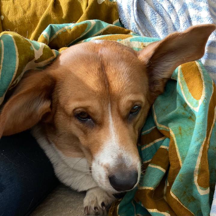 76380d7e 76df 4b25 90ff 695f1c3cde39 1642821726905