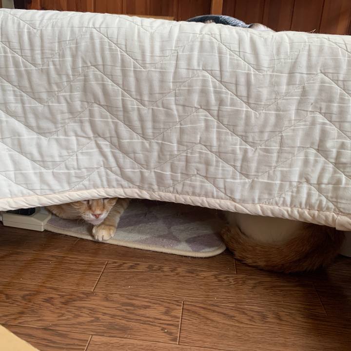 76382ca2 b22a 4320 8a50 3dea470e7cbe 1651373042882