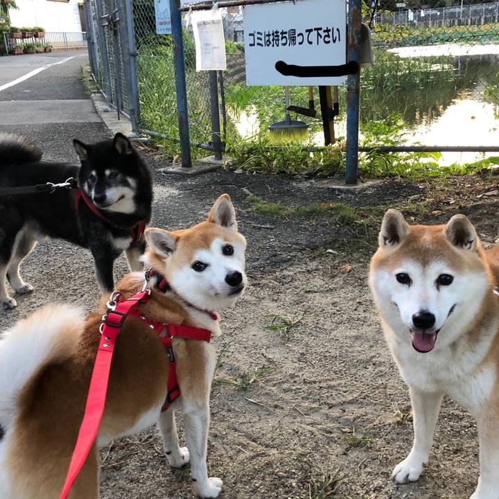 76383601 ff47 41b7 8eb1 750cb8b12d4c 1601288491768