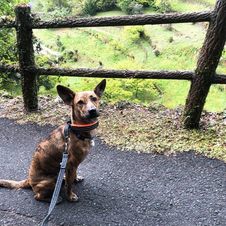 763859b6 b225 4f34 99cb c4c6bf1dd28d 1587626420963