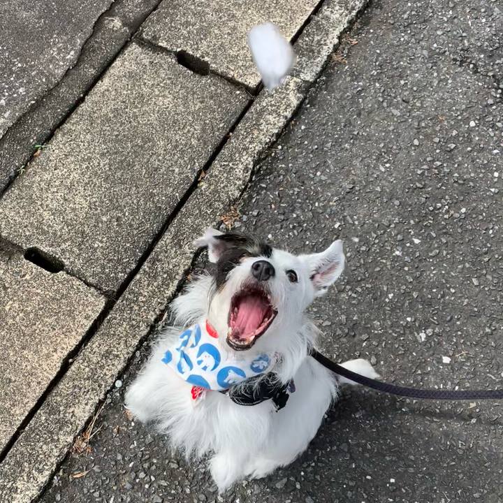 76387ccb 7b92 421a 8128 a3bbff4ae3cd 1688601692719