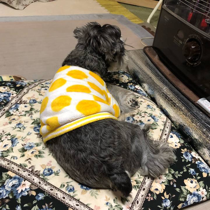 76388d72 0726 4042 b251 d4d13422d8e4 1646053035379