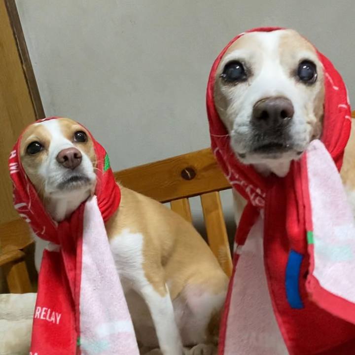 7638aea4 ad42 4ff3 ac00 1b145153552d 1629711639859