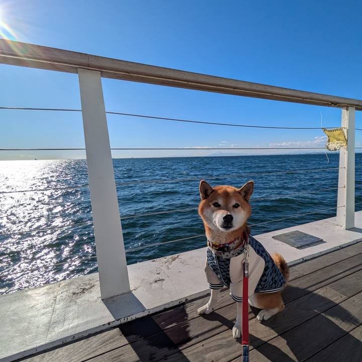 7638aead c54f 449d 9674 60d11164315d 1735625611430