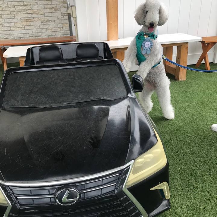 7638b582 fea4 4b57 be52 518bb5c7b0e1 1653123717840