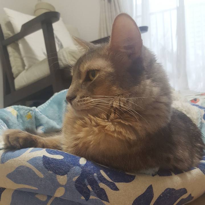 7638bf5f 07e7 4087 a6be e21aea3f6097 1575703254202