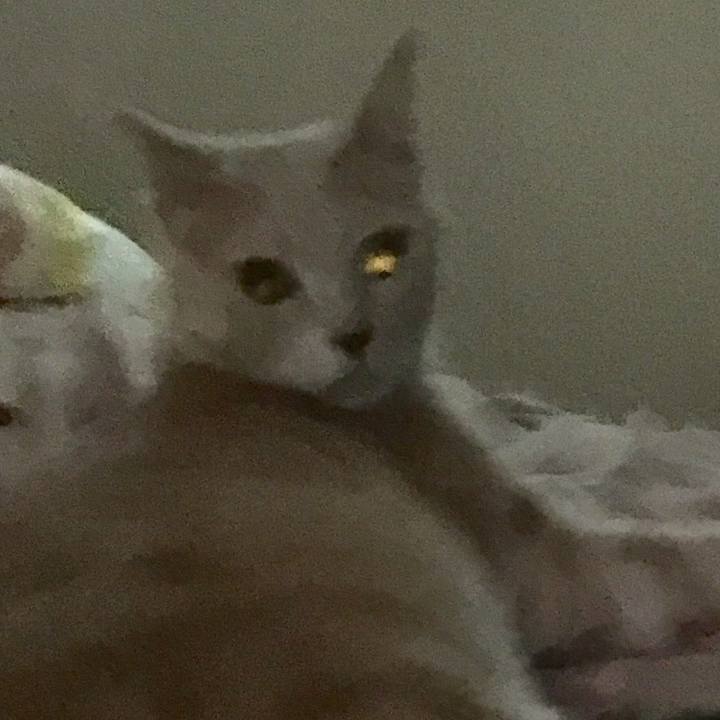 7638ec32 9164 4ca2 aae6 aa014afa1f98 1535321929962