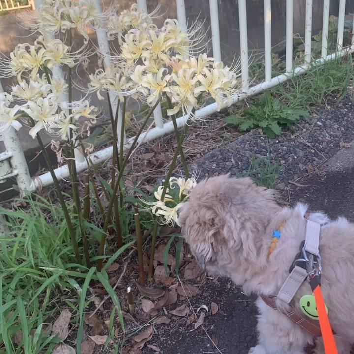 76390f1f 2d06 4850 b4cf dc1db9bcfc9a 1759284964507