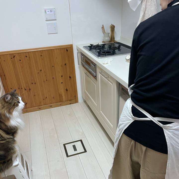 7639175b be07 4500 9e40 0f78c1170b15 1730924636194