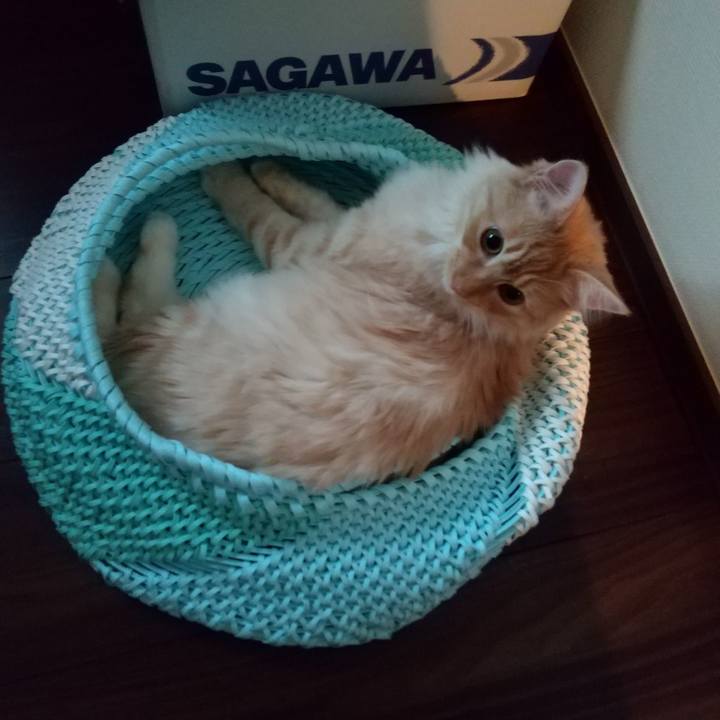 763936fb 198f 475a 8747 61e4f530af05 1622756323439