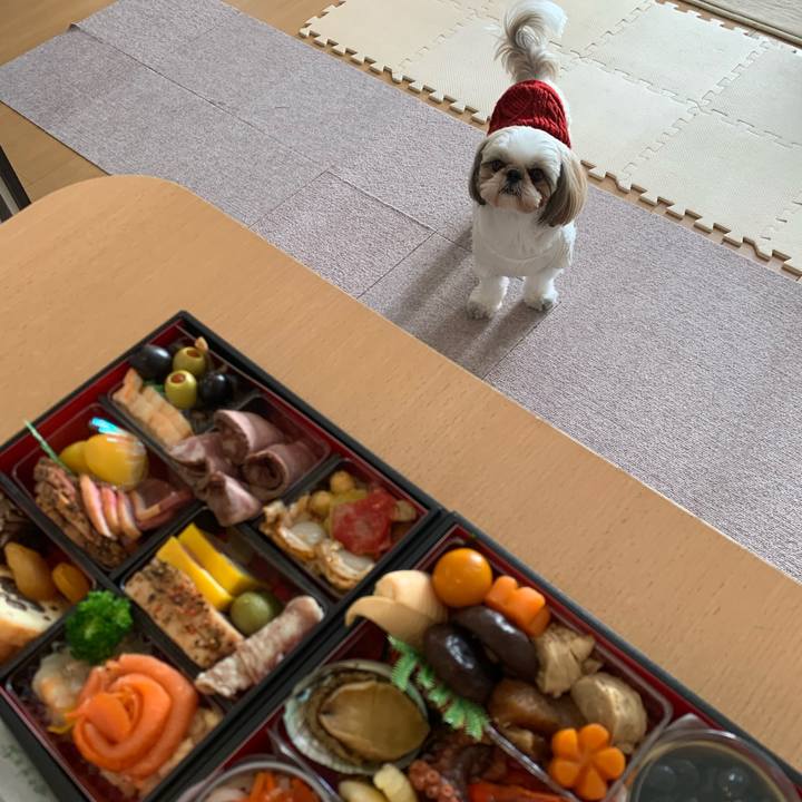 7639c070 ce44 4ce3 8c54 a4aa85e9562f 1640995156270