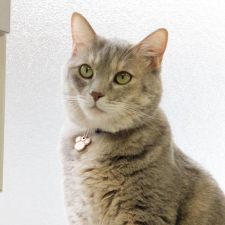 7639ebd2 2478 4176 b298 1f498b78ab72 1599621051714