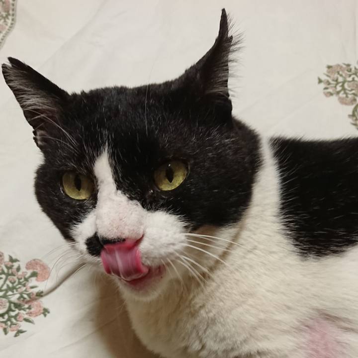 7639f9f9 a145 4b18 9b09 bfed31988a63 1590830102536