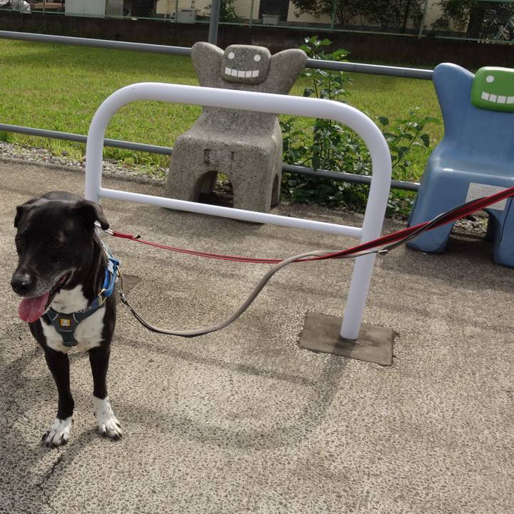 763a10eb 97bd 4670 bb47 dc5dc63c817b 1717724014110