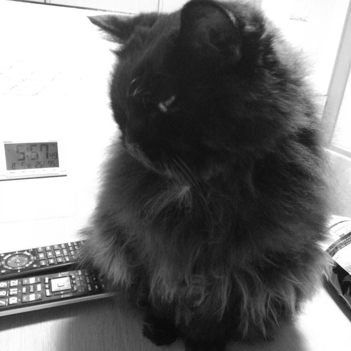 763a1d37 4d4b 48e9 a454 9961075a4257 1659951254223